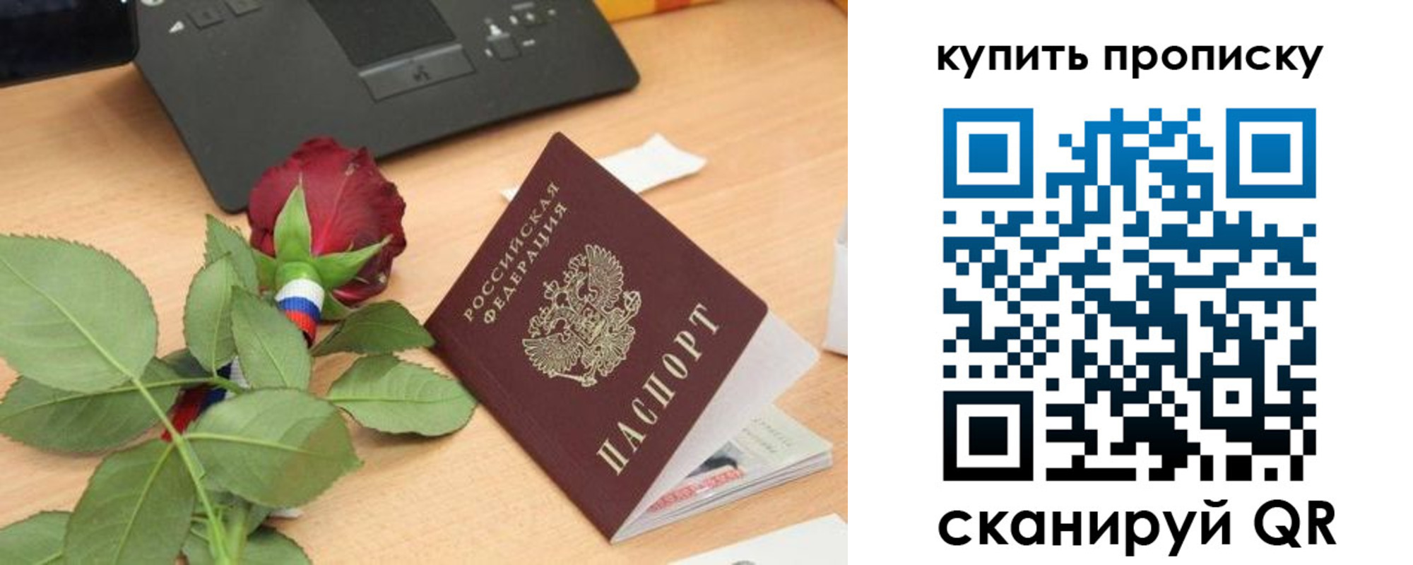 прописка регистрация в Коле